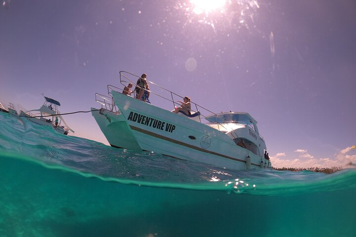 Punta Cana Private Catamaran with Snorkeling, Lunch & Open Bar - Photo 1 of 8
